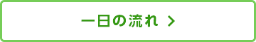 一日の流れ