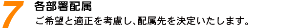 7.各部署配属：ご希望と適正を考慮し、配属先を決定いたします。